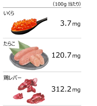 食品に含まれる「細胞」の数が多いほどプリン体は多くなる