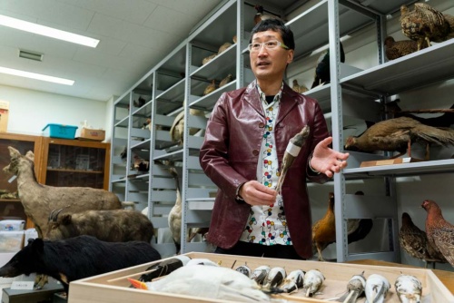 森林総合研究所内にある標本室にて。鳥類標本約1万点を収蔵する
