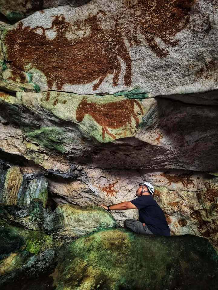 インドネシア スラウェシ島産 縞黒檀の像さん 世界最古の洞窟壁画がインドネシアで発見 6万7800年前の手形：日経