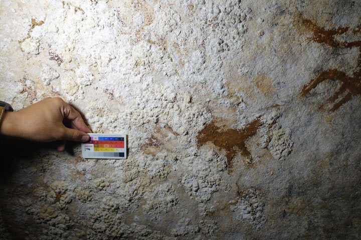 世界最古の洞窟壁画がインドネシアで発見 6万7800年前の手形：日経