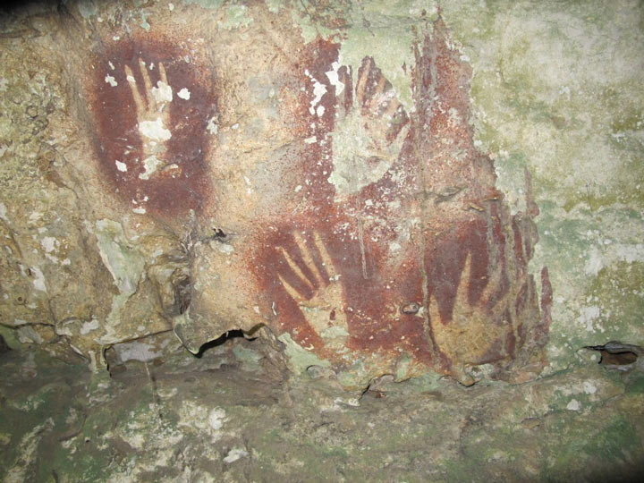 世界最古の洞窟壁画がインドネシアで発見 6万7800年前の手形：日経