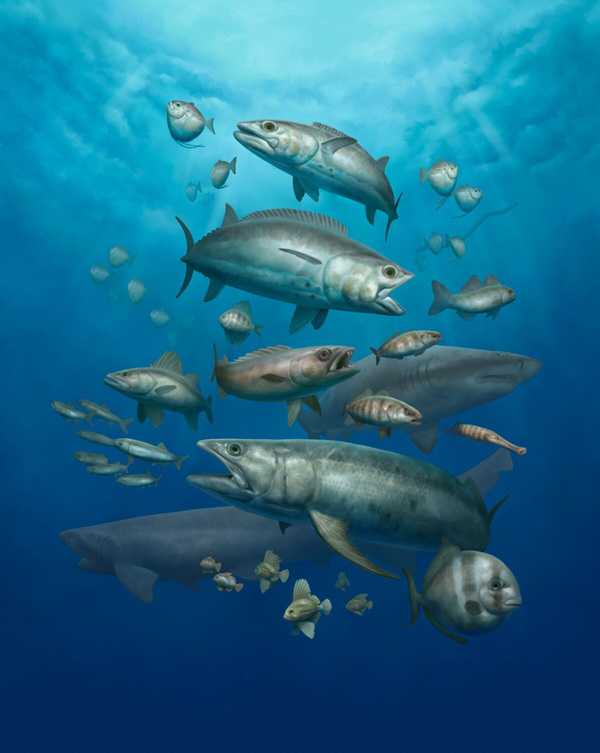 エジプトの砂漠に「化石の水族館」 6220万年前の魚類を大量に発見