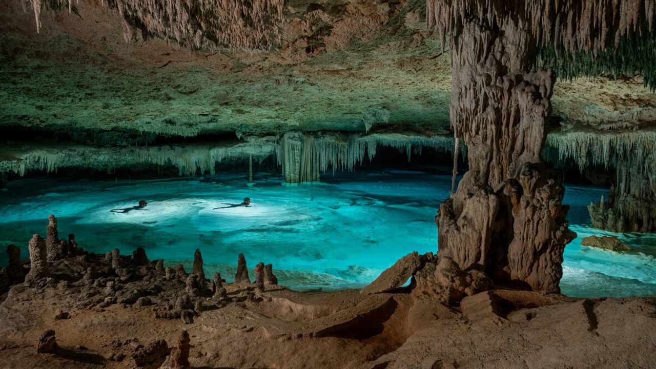 生態系を壊すマヤ鉄道の建設 メキシコの聖なる泉が危ない：日経