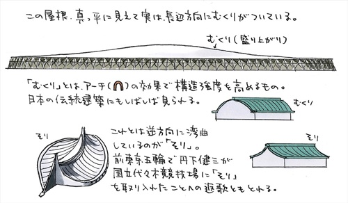 「むくり」と「そり」を知っておこう(イラスト:宮沢 洋)