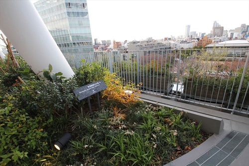 斜め柱の足元の植栽升（写真：宮沢 洋）
