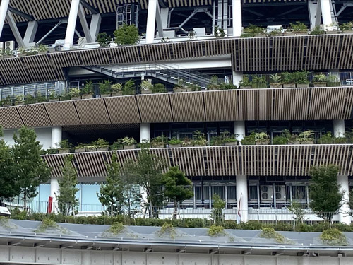2021年7月の植栽の状況（写真：宮沢 洋）