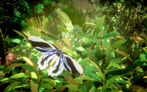 世界最大級のチョウとして知られる「アレクサンドラトリバネアゲハ」も“生息”する
