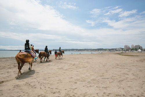 馬と海水浴 珍企画で三浦海岸の景色を変えた乗馬クラブ 日経ビジネス電子版