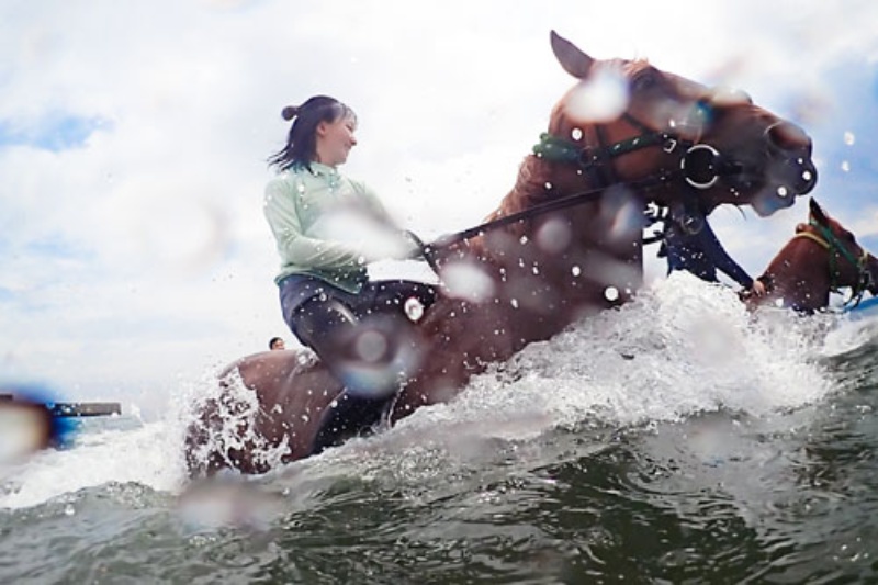 馬と海水浴 珍企画で三浦海岸の景色を変えた乗馬クラブ 日経ビジネス電子版 馬と海水浴 珍企画で三浦海岸の景色を変えた乗馬クラブ 日経ビジネス電子版