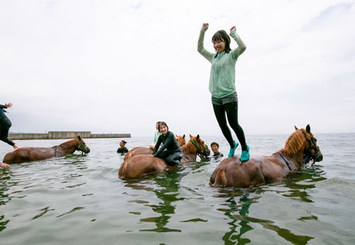 馬と海水浴 珍企画で三浦海岸の景色を変えた乗馬クラブ 日経ビジネス電子版