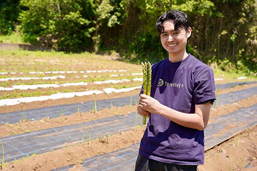 川崎市の農園で育てたアスパラガスを収穫する岡田和樹氏