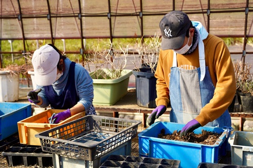 弘済学園の農園では施設利用者らがハーブ栽培に使う腐葉土を整えていた