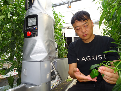 挿し木マシーン　園芸　農業　苗木　生産　ロボット 挿し木マシーン 園芸 農業 苗木 生産 ロボット