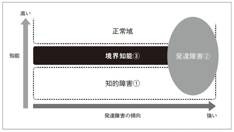 公式サイト 人間発達と初期環境 : 初期環境の貧困に基づく発達遅滞児の