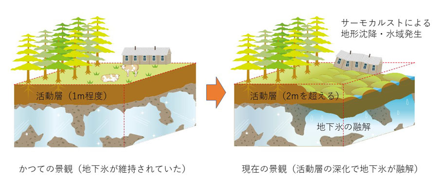 図2：サーモカルストの発達による地形と景観変化