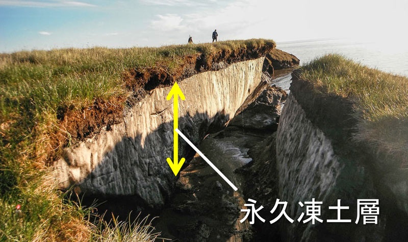 永久凍土に眠るウイルスと感染症のリスク 日経ビジネス電子版 永久凍土に眠るウイルスと感染症のリスク 日経ビジネス電子版