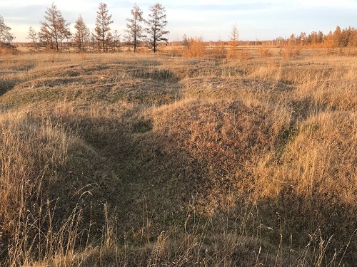 写真1：東シベリアにおけるポリゴン地形。直径が数メートルから十数メートルに及ぶ円形の凸凹が広がっている。2018年9月に筆者撮影