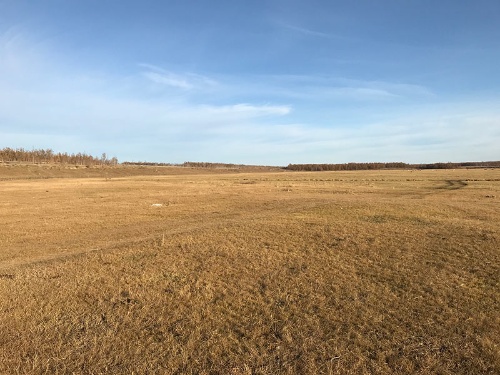 写真3：アラス地形。サーモカルストの最終過程ではこのような円形のくぼ地状の草原が形成される。2018年9月に筆者撮影
