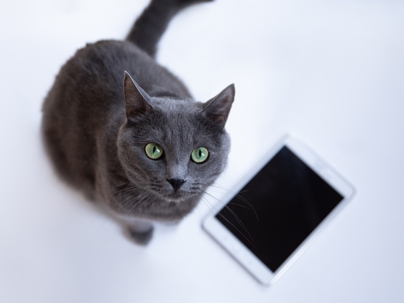 賢い投資家はなぜiphoneを使わないのか 日経ビジネス電子版