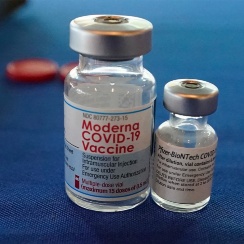 ワクチン2回の陽性率、半数世代で未接種上回る　厚労省再集計で判明