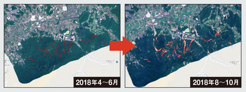 森林減少を自動で検出（赤いエリア）