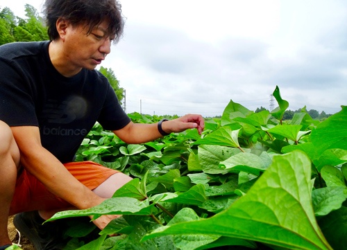 ローソンファーム千葉の篠塚社長は、従業員としての雇用で新規就農者を増やそうと意気込む