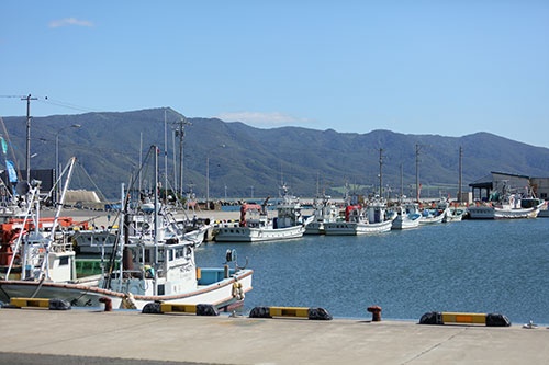 北海道南西部の小さな港町・寿都町。2年前、核のごみの最終処分場問題が突如浮上した