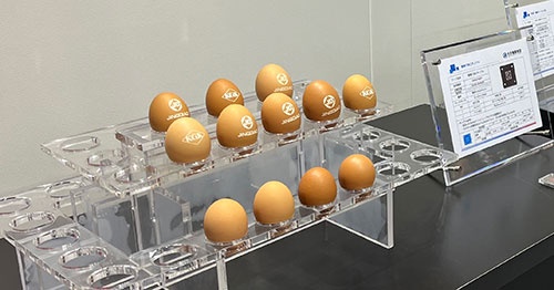 北京精雕の工作機械で文字を刻まれた生卵