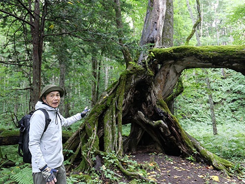 「ボッケの森」へ案内してくれた鶴雅HDの松本昌也常務執行役員。ツアーではガイドが阿寒湖畔の森の植生や地理について解説しながら案内してくれる