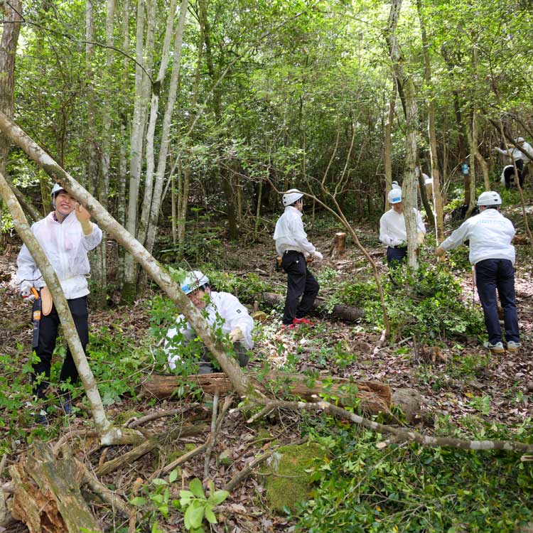 サントリー、「森で木を切る」若手研修　自律的に動く人材を育成