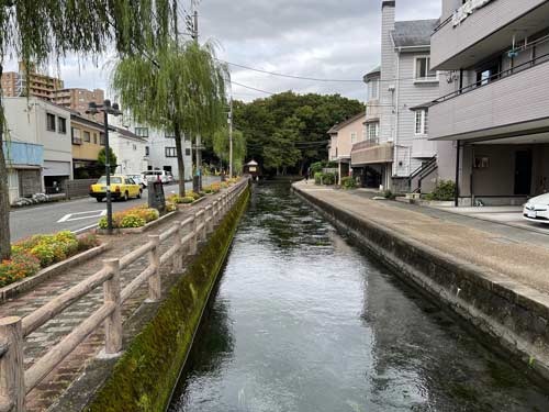 富士山の湧き水に恵まれた静岡県三島市の住宅街を水路が巡る。Whiskey＆Co.は三島の水を生かしたウイスキー造りを目指す。
