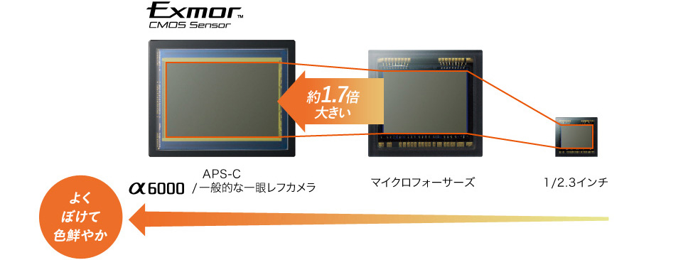2014年発売の「α6000」の紹介ページから引用。右端の「1/2.3インチ」は当時のコンパクトデジカメなどで使われていたイメージセンサー。ちなみに「フルサイズ」は「APS-C」より面積比で倍以上大きい（画像提供・ソニーグループ、以下同）