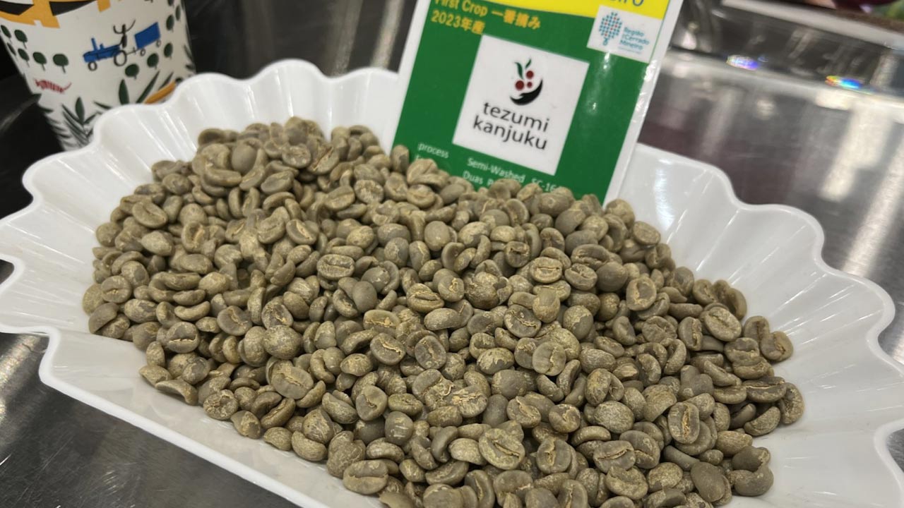 コーヒー 不作