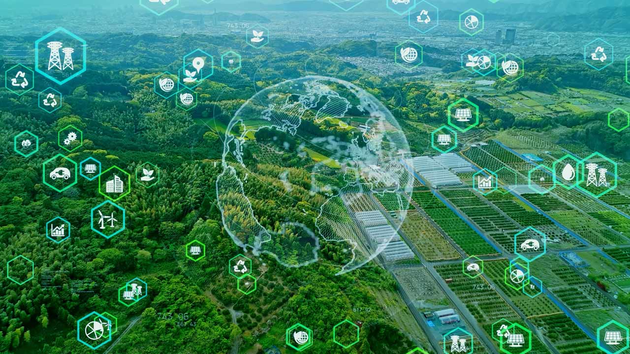 ティップリン産ポイント-117-1