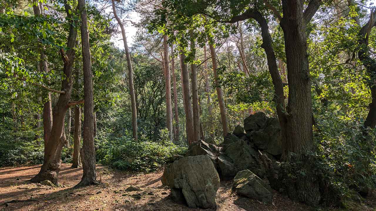 生物多様性の保全に年2000億ドル 英・豪・EUなどがクレジット取引制度：日経ビジネス電子版