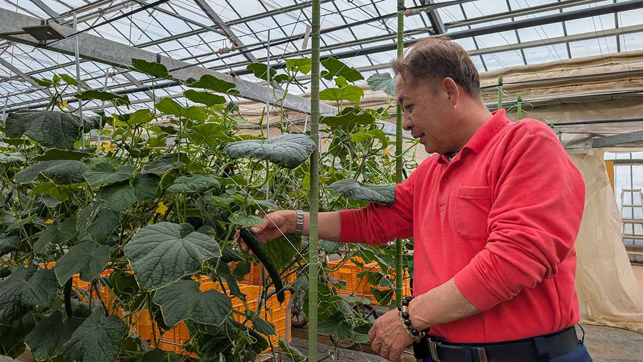 ホルムズ危機で燃料費月50万円増 夏野菜「収穫できぬ」：日経ビジネス電子版