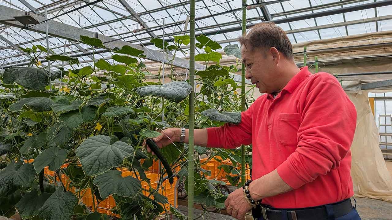 ホルムズ危機で燃料費月50万円増 夏野菜「収穫できぬ」:日経ビジネス電子版