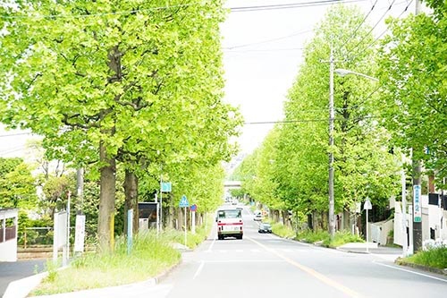 (写真:PIXTA)