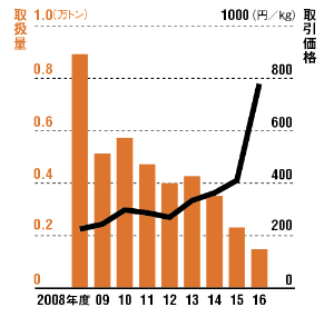 不漁で価格の高騰が続く<br />●函館市のスルメイカの取扱量と取引価格