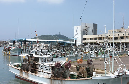 <b>長崎県壱岐市の勝本漁港。クロマグロ一本釣りの拠点だ</b>