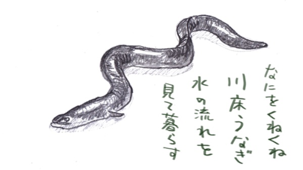 100年以上続く老舗旅館 人吉温泉 しらさぎ荘 を復興させたい Campfire キャンプファイヤー