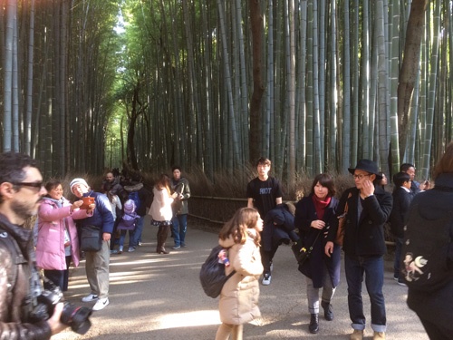 京都・嵯峨野の「竹林の道」を行き交う外国人