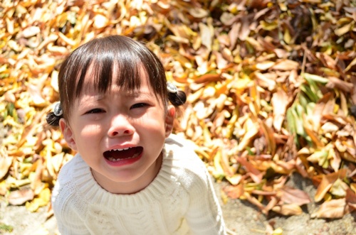 デジタル機器の発達で生活は便利になったが、子どもの忍耐力をどのように育んでいくかは大きな課題だ
