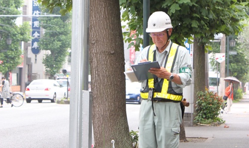 横浜市は市内約2万8000本の街路樹を樹木医が点検するプロジェクトを始めた