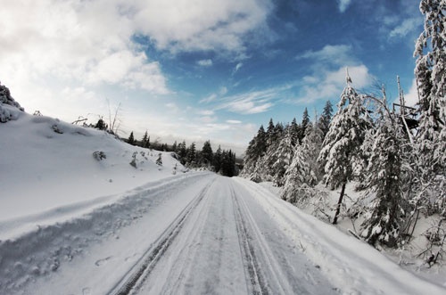 路面が完全に雪と氷に覆われたスウェーデンのステージ。シーズン中唯一の完全スノーラリーだ（写真：TOYOTA GAZOO Racing）