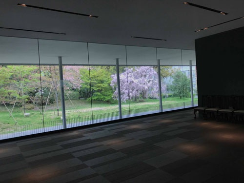 芝蘭会館の桜。医学部創立100周年で建てられたそうで、稲盛和夫さんに京都大学が寄付をお願いしたそう。私が卒業した鹿児島大学にも稲盛会館という、同じく寄付していただいた会館がありました。稲盛さんは鹿児島大学卒業でした。不思議なご縁ですね