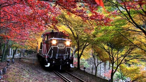 秋には紅葉を楽しむこともできる