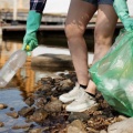 「脱プラスチック」ストロー、スプーンも義務化　海洋汚染は止まる？