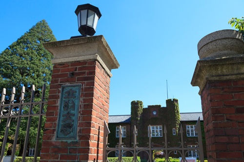 立教大学は受験生の負担軽減につながる入試改革で志願者を増やした(写真:PIXTA)
