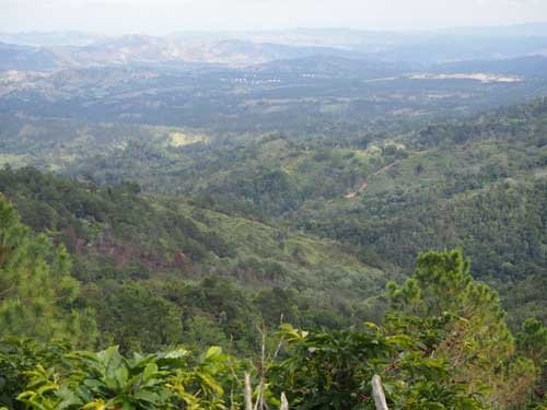 ラス・メルセデス・デ・ドン・アルフレド農園の風景